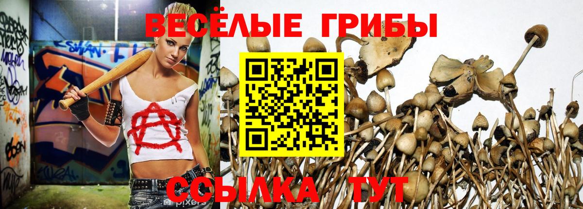 Псилоцибиновые грибы Magic Shrooms  Вход с VPN  Ухта 
