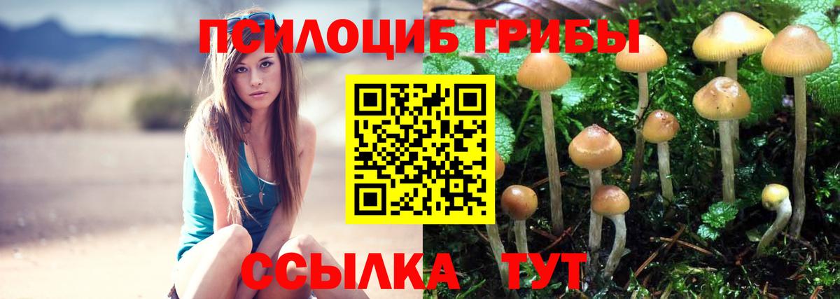 Псилоцибиновые грибы прущие грибы Ухта